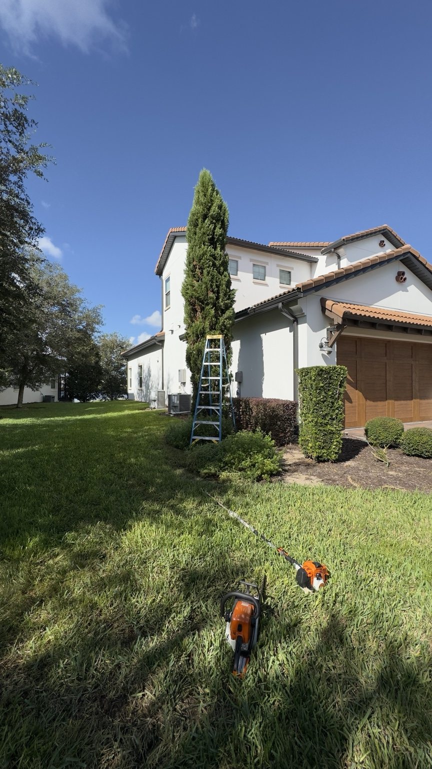Titan Green Services LLC — Landscape Detail